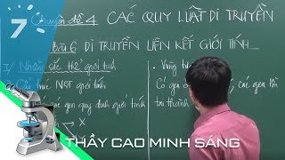 Sinh học 12 Bài 10: Di truyền liên kết giới tính và di truyền ngoài nhân | HỌC247