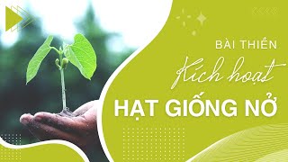 Bài thiền Kích Hoạt Hạt Giống Nở | Sứ Mệnh Kim Cương | Yêu thương | Trí Tuệ |Điều Tích Cực | An Yên