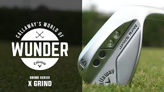 JAWS Raw X-Grind | World of Wunder Grind Series