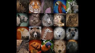 Endangered Animals Of Nepal !