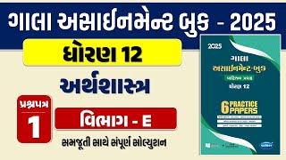 Std 12 economics paper 1 Section E solution gala assignment 2025 | dhoran 12 અર્થશાસ્ત્ર assignment