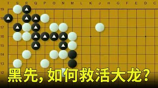 2段挑战：黑先，如何救活大龙？第1手不难发现，全算清却非易事！【明玥谈棋】