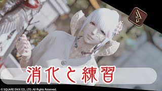 【FF14】消化だー！【湯川薫】