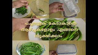 How to Store Green chillies for a long time .പച്ചമുളക് കേടാകാതെ ആഴ്ചകളോളം എങ്ങനെ  സൂക്ഷിക്കാം