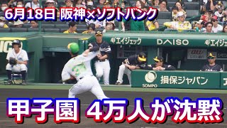 2023-06-18 阪神×ソフトバンク 甲子園4万人が沈黙