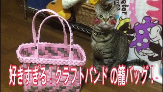 唐草 猫ムタさん クラフトバンドの籠バッグに 夢中で 一日中 魅了されていた