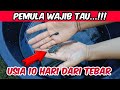 ALASAN KENAPA BUDIDAYA IKAN LELE HARUS DISORTIR ~ BUDIDAYA IKAN LELE