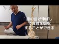 いい姿勢を作る5つの方法④　姿勢名人井本尚光