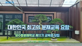 이학박사의 분재수업...유수형분재학교 제11기 수강생모집/경기도 평택시 만세로 1626-26 #분재교육 #분재교실 #분재학교 #분재강의 #분재수업 #분재실습 #유수형분재학교