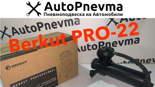 Компрессор Berkut PRO-22