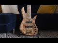 LIVE: SlapStore Limited Fodera Poplar Burl 2023