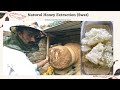 Natural Honey Extraction / Pure Honey From Swat, Pakistan / Honey Bee Farming