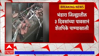 Bhandara Heavy Rain: भंडारा जिल्ह्यातील तीन दिवसांच्या पावसामुळे शेतपिके पाण्याखाली