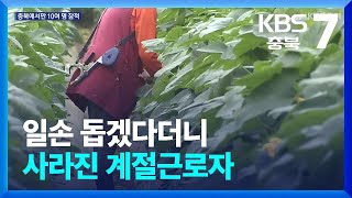 [여기는 충주] 일손 돕겠다더니…사라진 계절근로자 / KBS  2024.06.27.