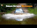 2022 Subaru Outback Wilderness Review // It's So Crazy Capable!