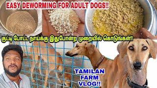 Easy Deworming Method For Adult Dogs - உங்கள் நாய்க்கு பூச்சிமருந்து எளிதாக குடுக்கலாம் |