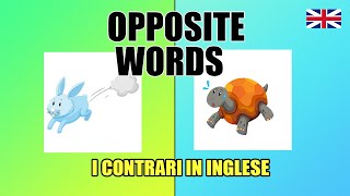 Opposite Words | Opposite Words in English