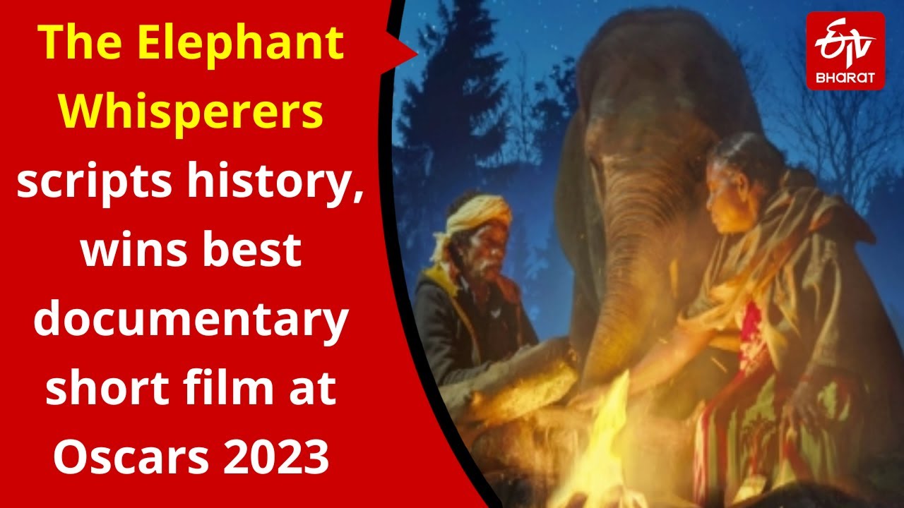 The Elephant Whisperers Scripts History, Wins Best Documentary Short ...