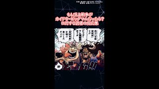 【もしも】海軍・七武海vsビッグマム・カイドウ！もし頂上決戦が白ひげじゃなかったら！【ワンピース反応集】#shorts