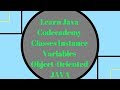 Codecademy Learn Java, Classes Instance Variables, Object Oriented Java