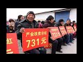 中国养猪业不能照抄美国模式，否则，那么多农村养猪人怎么办？