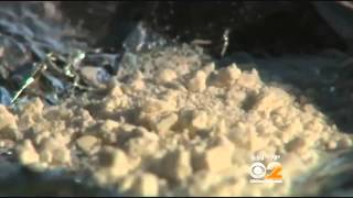 Officials: Heroin Trade Is Surging In New York