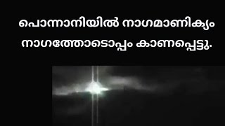 നാഗ മാണിക്യം പൊന്നാനിയിൽ അപൂർവ്വ കാഴ്ച, NAGAMANIKYAAM PONNANI veliyankod 14-4-2021