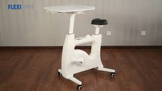 Flexispot All-in-One Desk Bike Deskcise Pro V9