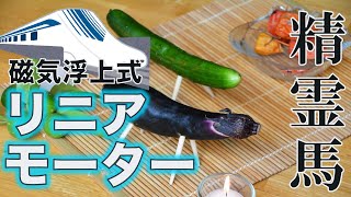 【お盆】リニアモーター駆動精霊馬を作った