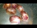 চকুৰ পানী নোলোৱাকৈ পিয়াঁজ কটাৰ উপায় onions cutting tips assamese