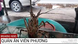 HẢI SẢN TƯƠI SỐNG | QUÁN ĂN VIỄN PHƯƠNG (Mũi Né, Phan Thiết)