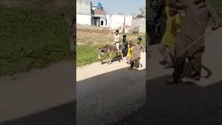 Pakistani Kids and Ertugrul ghazi funny and Emotional video