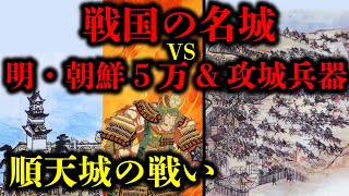 【朝鮮出兵】戦国の技術の粋を集めた順天城が固すぎる！順天城の戦い