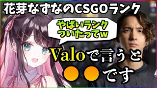 驚愕⁉︎花芽なずなのCSGOランクをvalorantのランクに例えるFisker【ぶいすぽ/切り抜き/橘ひなの/kamito/MOTHER】