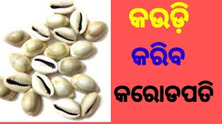 କଉଡ଼ି କରିବ କରୋଡପତି @bidhi bidhan odia, ଵିଧି ଵିଧାନ ଓଡ଼ିଆ