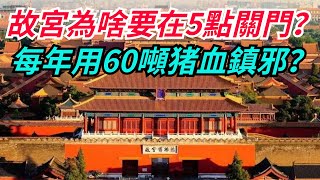 故宮為啥要在5點關門？ 每年用60噸猪血鎮邪？ 背後不為人知的真相是什麼？【老海說奇史】#趣味歷史#古代歷史#歷史故事#歷史人物#歷史冷知識