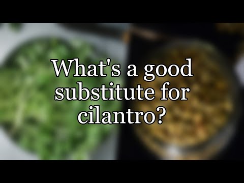Is there a substitute for cilantro in salsa?