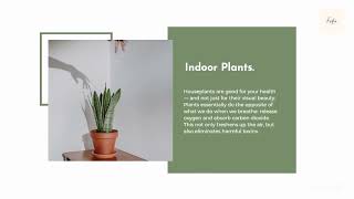 Introduction to Indoor Plants