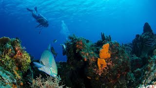 Statia Divers - Sint Eustatius