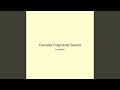 Cascade Fragments Serene