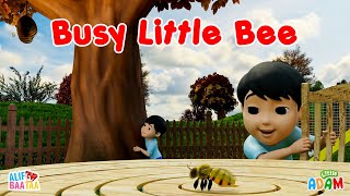 Busy Little Bee - Little Adam