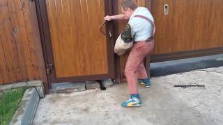 Тест №11. ТИБЕТСКИЙ МАСТИФ. ОХРАНА ДВОРА.