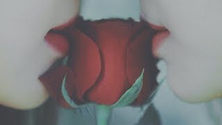 [Teaser] 이달의 소녀 yyxy (LOONA/yyxy) "love4eva (feat. Grimes)"