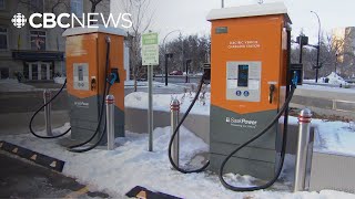 Can electric vehicles really handle the cold?