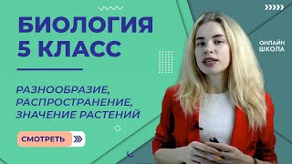 Разнообразие, распространение, значение растений. Урок 20. Биология 5 класс