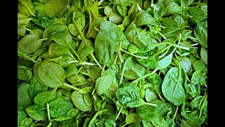 Spinach 101-Nutrition and Health Benefits