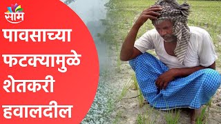 Monsoon Breaking | पावसाच्या फटक्यामुळे शेतकरी हवालदील; पाहा व्हिडीओ  | Maharashtra