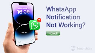 WhatsApp Notifications Not Working? Here Is How to Fix It