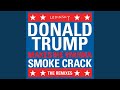 DonaldTrumpMakesMeWannaSmokeCrack (Petals Remix)