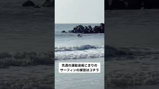 先週の運動音痴こまりさんのサーフィン練習はコチラ #surf  #サーフィン  #shorts